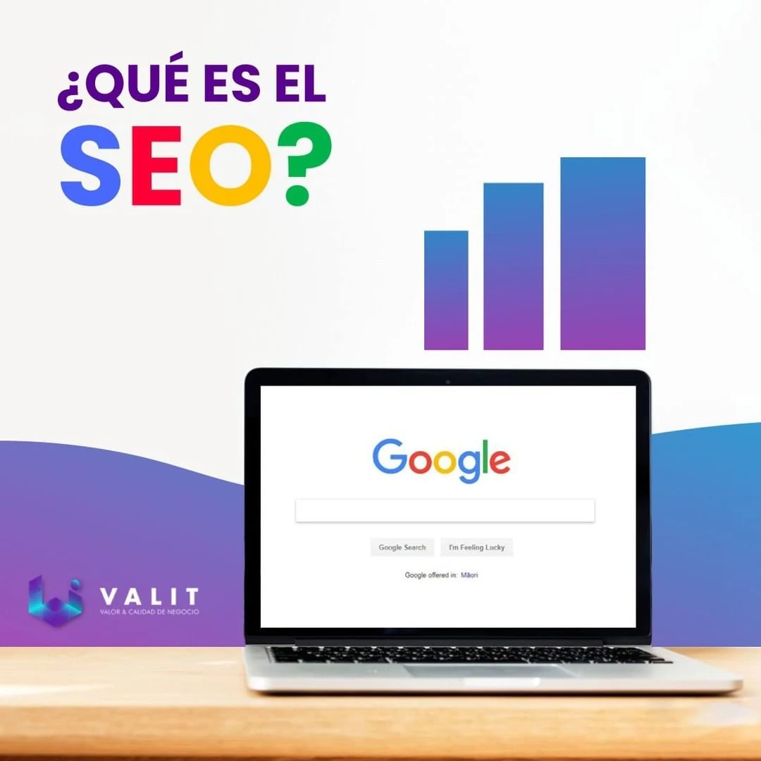 que es el seo